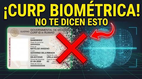 ¿La CURP Biométrica Reemplaza al INE? Lo Que NO Te Dicen en México