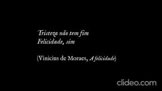 Efemeridade; ou, A vida de inseto!