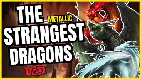 Where Did The 6 Weirdest Metallic Dragons Go? | D&D Ecology