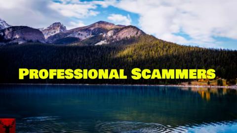 Professional Scammers