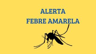 Seria a febre amarela uma farsa?