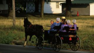Bowne Report: NY Amish Caught In Vaccine Standoff