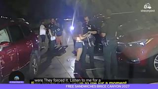 Two Gingers, One Crazy Night: Story Time from Dr. Hamster