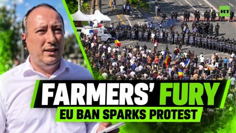 Romanian farmers clash with police over EU livestock export ban