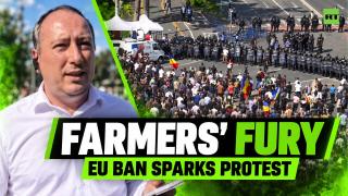 Romanian farmers clash with police over EU livestock export ban