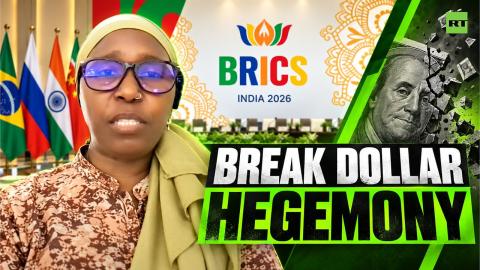 ‘We need to break the hegemony of the dollar’ — Dr Khanyisile Litchfield-Tshabalala