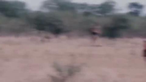 The Rhodesian Bush War