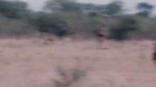 The Rhodesian Bush War