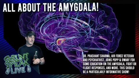 All About The Amygdala!