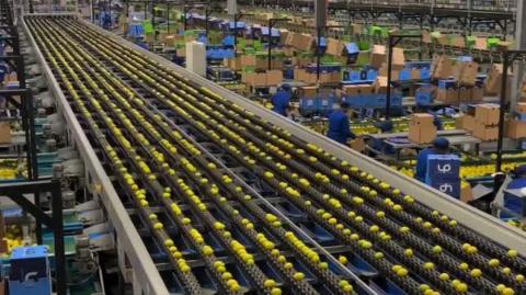 Modern People Free Food Production and Distribution