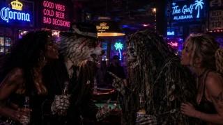 Wolf Slumbers Livestream 198 SWIRLING DOES MORE FOR WHITE BOYS THEN WIGNATISM