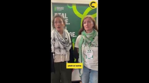 Green Party Passes MAJOR Palestine Shift - Zionists Lose Their Minds
