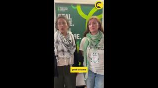Green Party Passes MAJOR Palestine Shift - Zionists Lose Their Minds