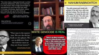 SOULLESS, HEARTLESS, ILLEGITIMATE INCESTUOUS INBRED JEWS DON'T HAVE ANY RIGHT TO EXIST IN THIS WORLD