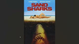 Sand Sharks Review