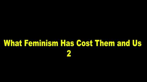 What Feminism Has Cost Them and Us 2
