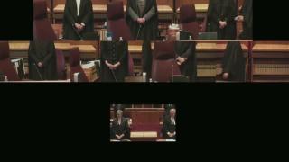 This is what a JEW run,  Communist Government Looks Like. 8th Oct 2026. Part 01.