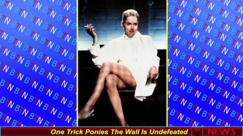 One Trick Ponies The Wall Is Undefeated