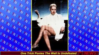 One Trick Ponies The Wall Is Undefeated