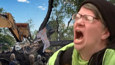 Antifa Freaks Out When FEDs Knock Down Tree For Border Wall