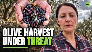 ‘There is no freedom, only constant fear’ — West Bank farmers face settler violence