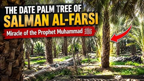 THE GARDEN OF SALMAN Al-FARSI رضي الله عنه | THE MIRACLE OF THE PROPHET MUHAMMAD ﷺ