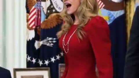 SUSAN DELL - JEW • PARODY