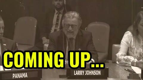 Larry Johnson addresses the United Nations on Ukraine