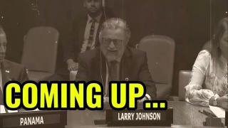 Larry Johnson addresses the United Nations on Ukraine