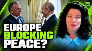 ‘The problem is the Europeans’ — Sonja van den Ende on Ukraine peace