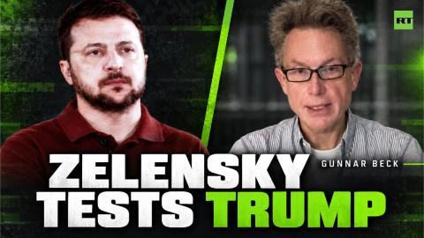 ‘I think he's a fool’ — Gunnar Beck warns Zelensky over Trump