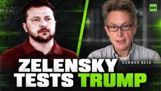 ‘I think he's a fool’ — Gunnar Beck warns Zelensky over Trump