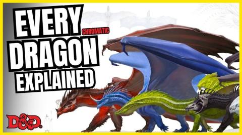 The Ecology Of EVERY Chromatic Dragon Explained | D&D Lore (No AI)
