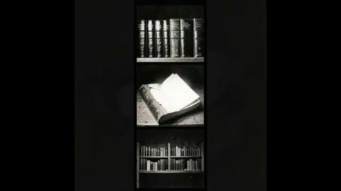 Contra os cornos da literatura