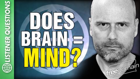 Does Brain Equal MIND? Listener Questions