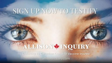 The Allison Inquiry