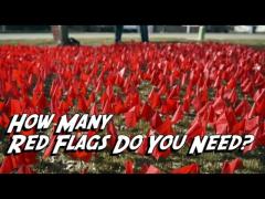 How Many Red Flags Do You Need to Decide "No?"