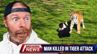 The Lindsay Clancy of Tigers! (Euthanize or Let it Live?)