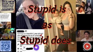 Stupid is as Stupid does