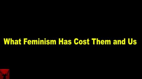 What Feminism Has Cost Them and Us